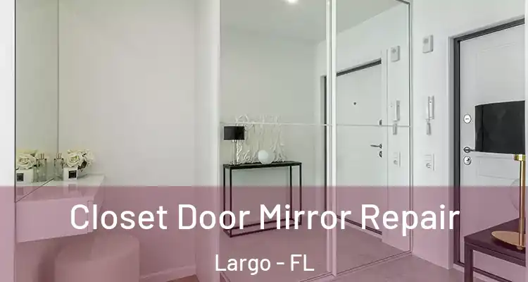 Closet Door Mirror Repair Largo - FL