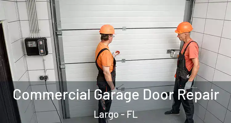Commercial Garage Door Repair Largo - FL