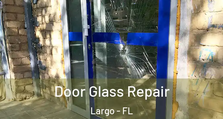 Door Glass Repair Largo - FL
