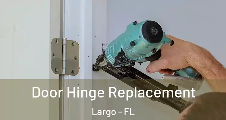 Door Hinge Replacement Largo - FL