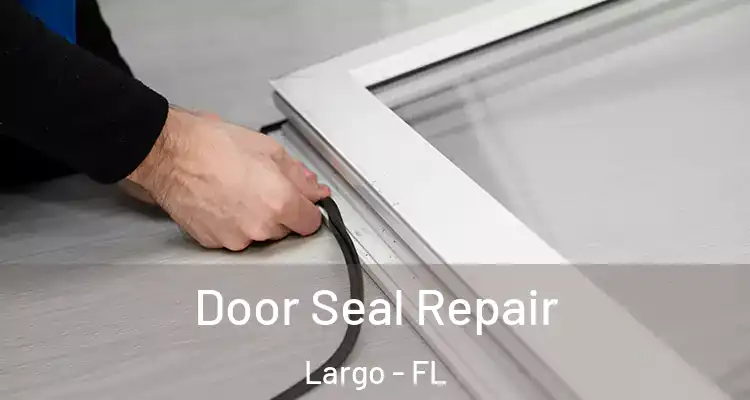 Door Seal Repair Largo - FL