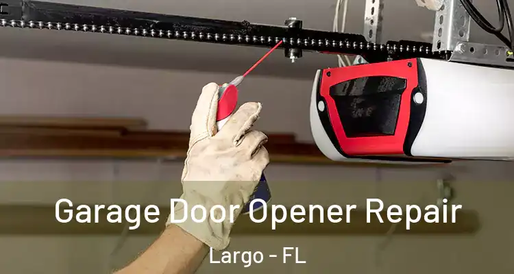 Garage Door Opener Repair Largo - FL