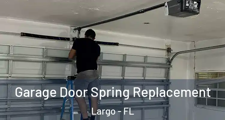 Garage Door Spring Replacement Largo - FL