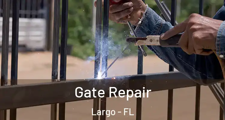Gate Repair Largo - FL