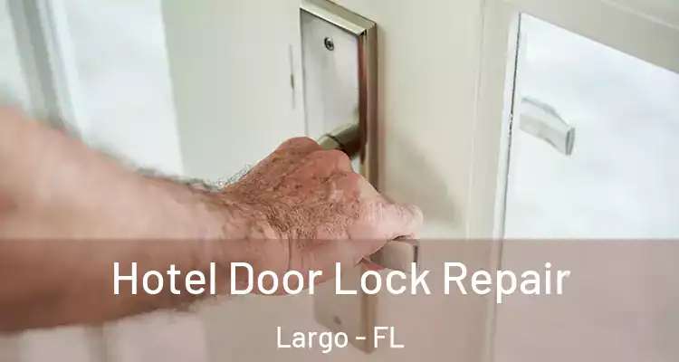 Hotel Door Lock Repair Largo - FL