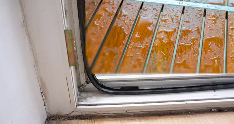 Water Leaking Wooden Patio Doors Repair in Largo, FL