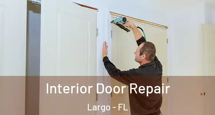 Interior Door Repair Largo - FL