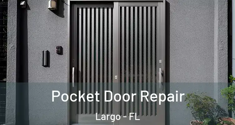 Pocket Door Repair Largo - FL