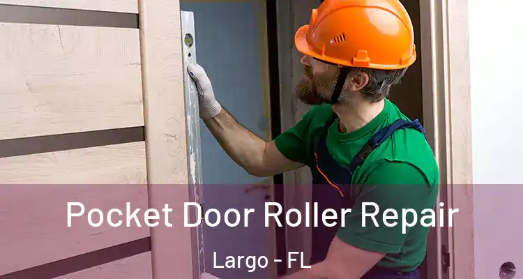 Pocket Door Roller Repair Largo - FL