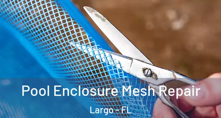 Pool Enclosure Mesh Repair Largo - FL