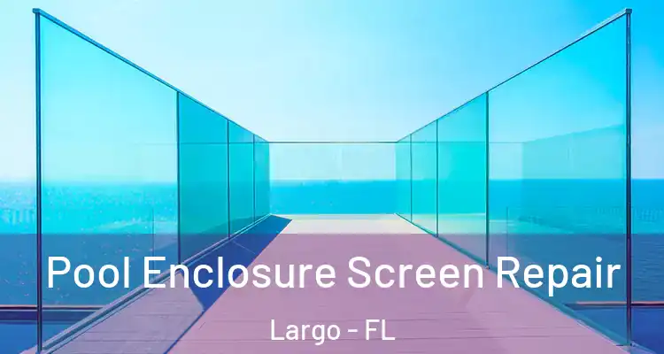 Pool Enclosure Screen Repair Largo - FL