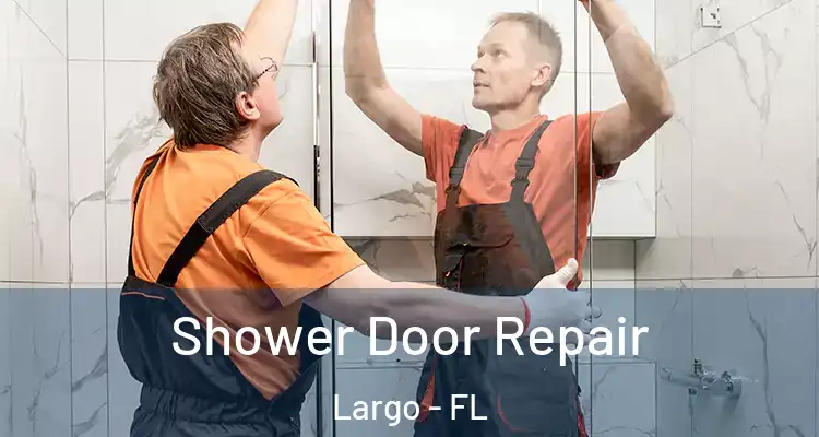 Shower Door Repair Largo - FL