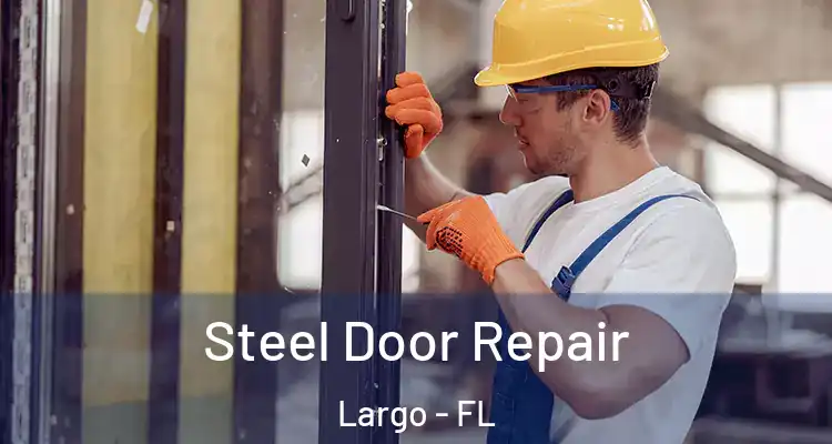 Steel Door Repair Largo - FL