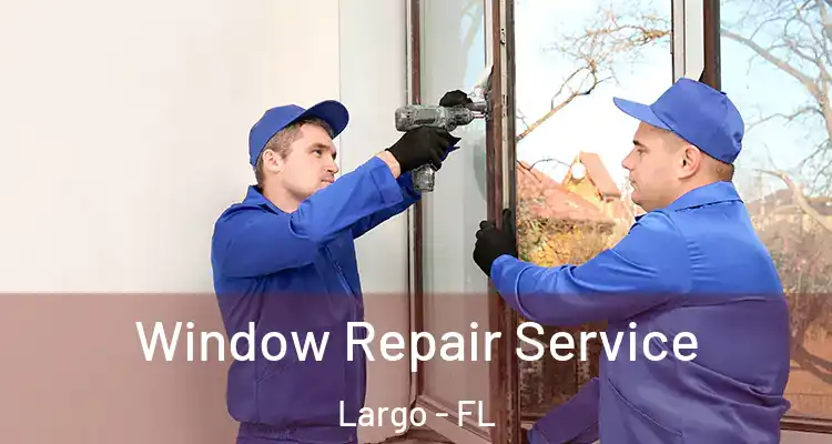 Window Repair Service Largo - FL
