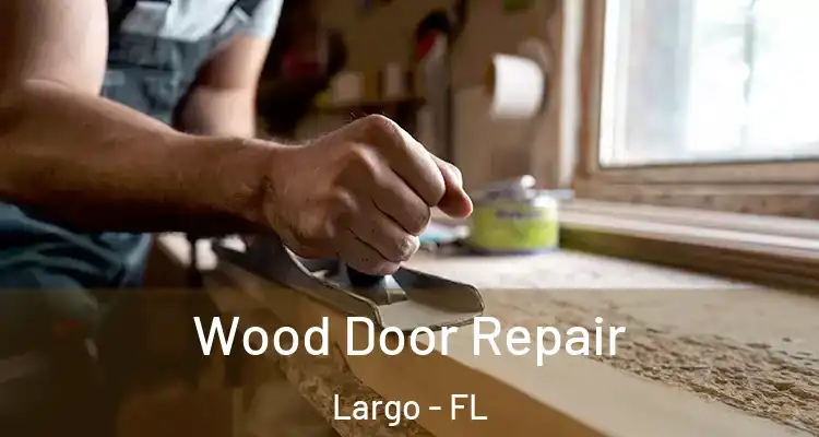 Wood Door Repair Largo - FL